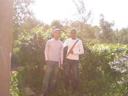 mon amis moanis