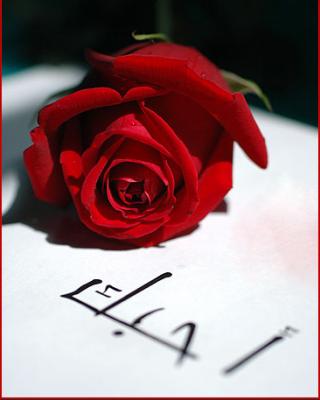 je t'aime